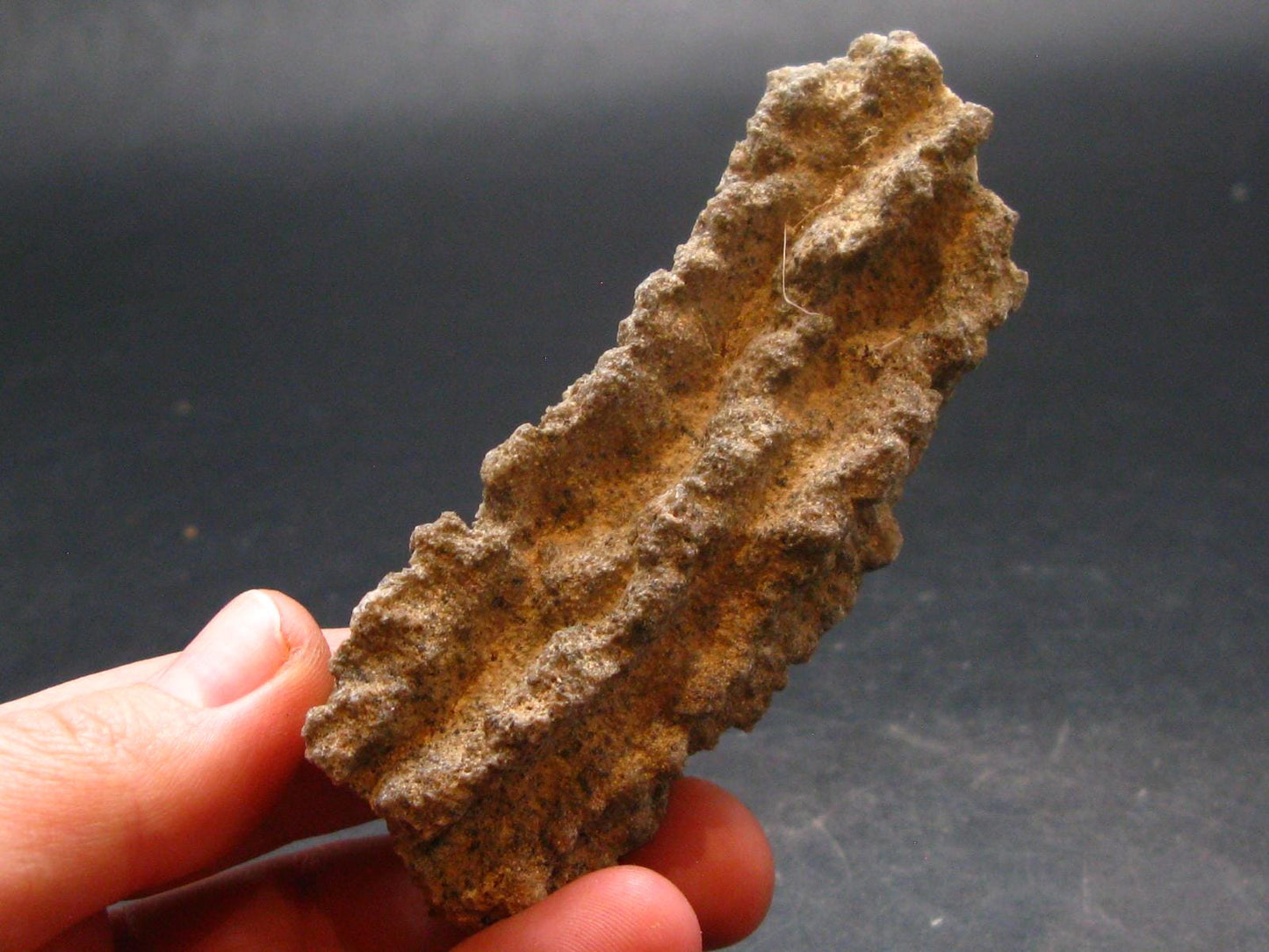 Large Fulgurite Lightning Rock From Sahara Desert - 3.2"