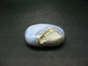 Rare Blue Lace Holly Chalcedony Agate Tumbled Stone From Malawi - 2.3"