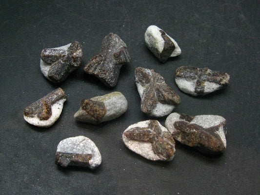 Lot of 10 Perfect Staurolite Crystals from Russia - 30 Grams