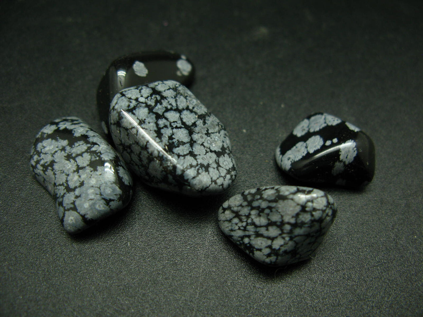 Lot of 5 tumbled Snowflake Obsidian (variety of Obsidian) from USA