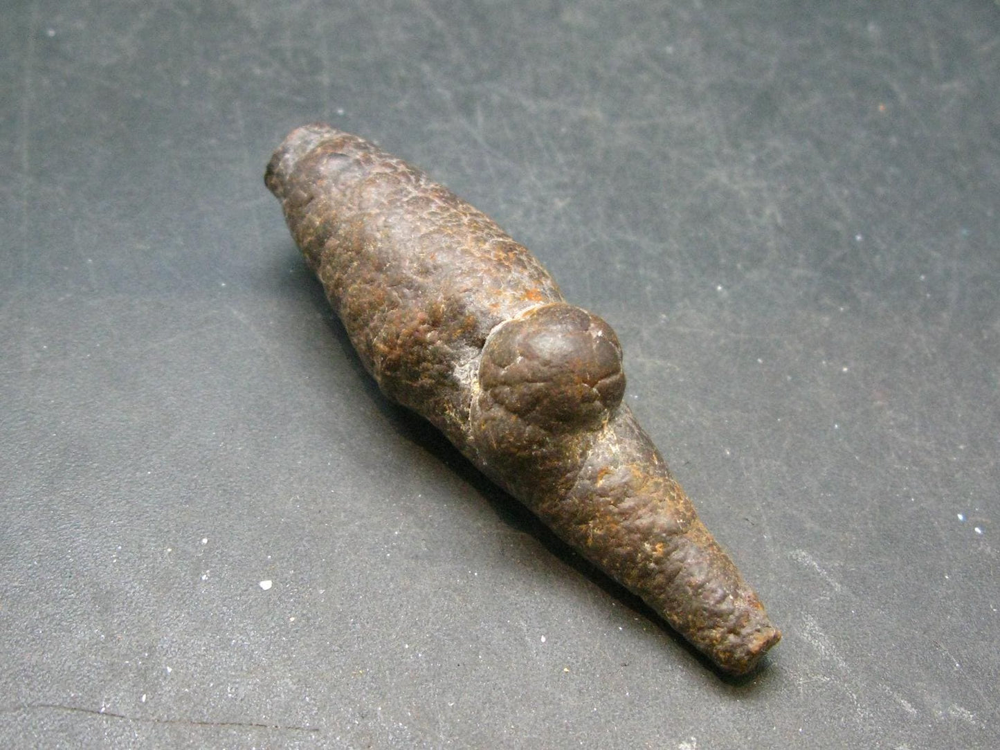 Rare Prophecy Stone Limonite after Pyrite From Egypt - 2.6" - 36.0 Grams