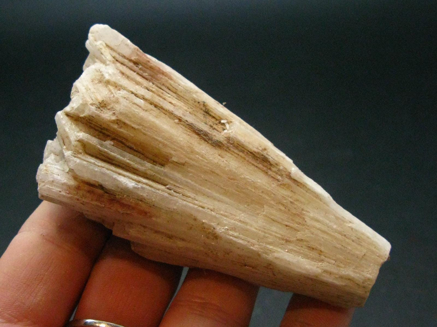 Scolecite Crystal From Namibia - 3.0" - 76.57 Grams