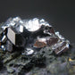 Sperrylite Crystals On Matrix From Norilsk Russia - 1.5" - 10+ Crystals