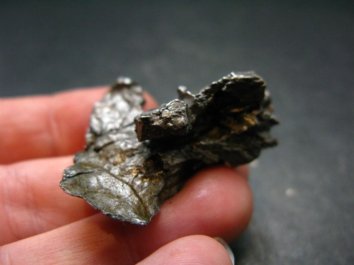 Campo Del Cielo Meteorite from Argentina - 26.30 Grams - 1.5"
