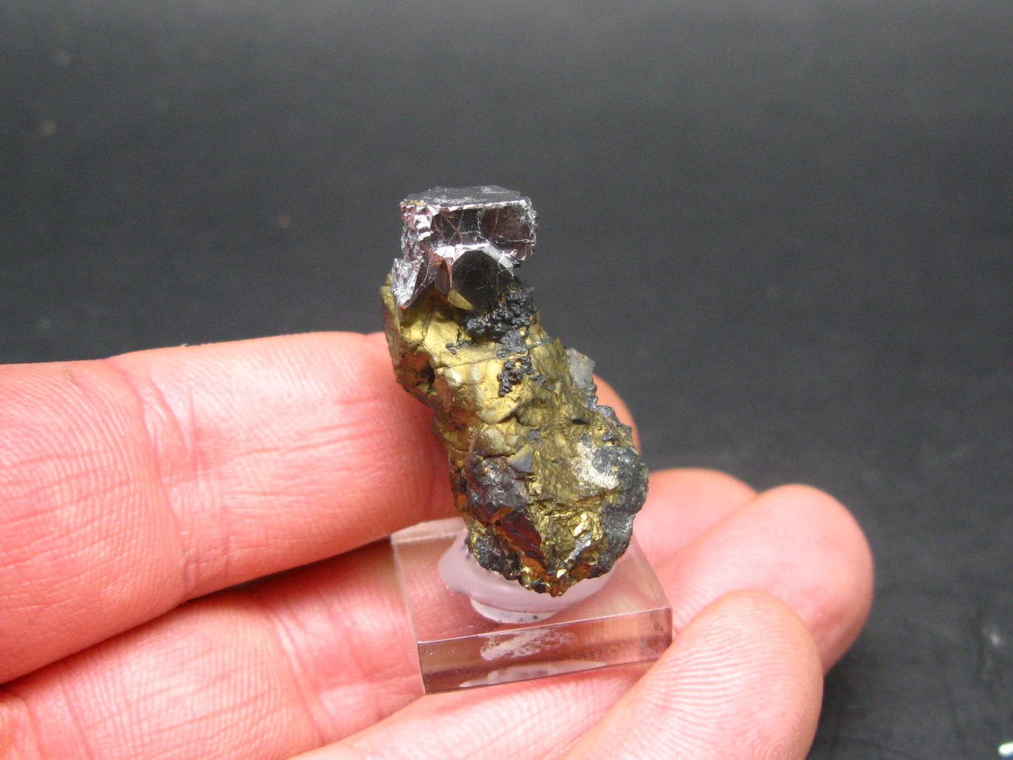 Sperrylite Crystal On Matrix From Russia - 1.3" - Huge 12mm Crystal