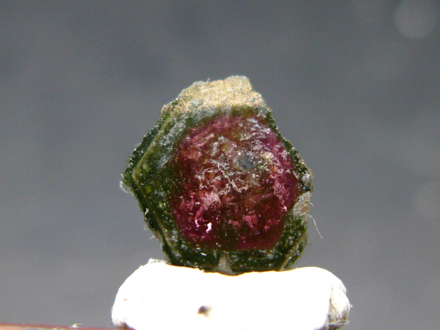 Rare Watermelon Tourmaline Crystal Slice From Brazil - 2.45 Carats