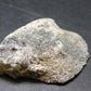 Phenakite Phenacite Polished Slice From Russia - 17.74 Grams - 1.7"