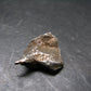 Sikhote Alin Meteorite From Russia - 4.92 Grams - 0.8"