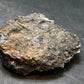 Rare Nuumite Nuummite Raw Piece From Greenland - 45.06 Grams - 2.1"