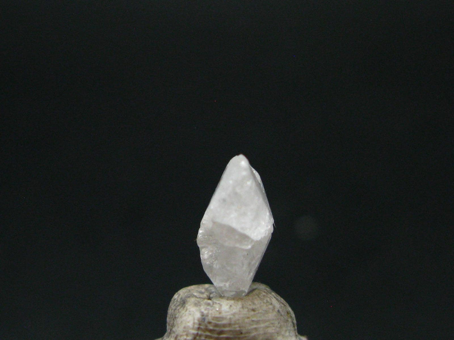 Gemmy Phenakite Phenacite Crystal from Ukraine - 3.25 Carats - 0.5"