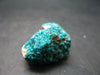 Very Nice Dioptase Cluster from Congo - 1.0" - 10.18 Grams