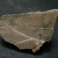 Phenakite Phenacite Polished Slice From Brazil - 46.61 Grams - 2.4"