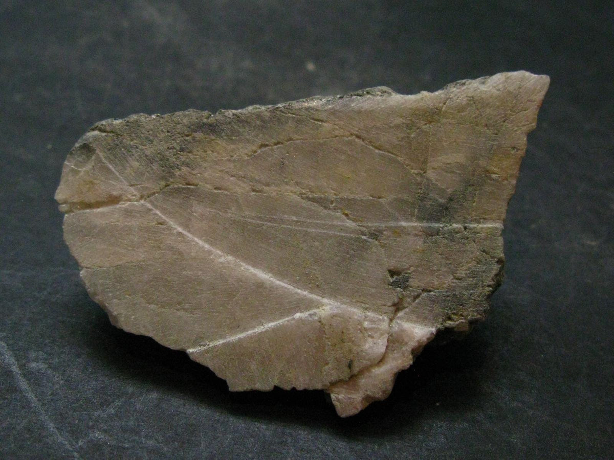 Phenakite Phenacite Polished Slice From Brazil - 46.61 Grams - 2.4"