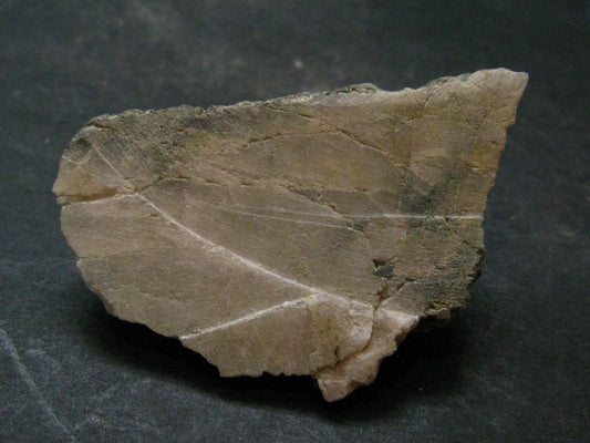 Phenakite Phenacite Polished Slice From Brazil - 46.61 Grams - 2.4"