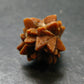 Glendonite (Ikaite after Calcite) Crystal From Russia - 0.9" - 7.35 Grams