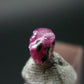 Nice Rare Gem Bixbite Red Emerald Beryl Crystal From Utah USA - 0.39 Carats