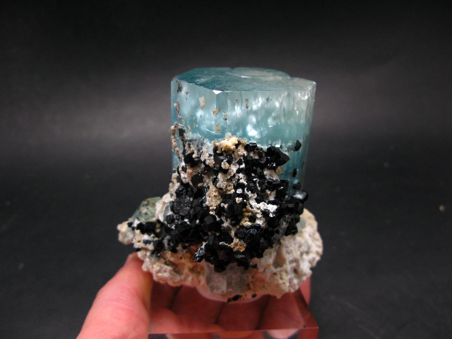 Big Aquamarine & Black Tourmaline Crystal From Erongo Namibia - 3.3"