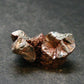 Nice Polished Seraphinite Clinochlore Stalactite From Russia - 0.9" - 4.35 Grams