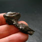 Sikhote Alin Meteorite From Russia - 10.55 Grams - 1.6"
