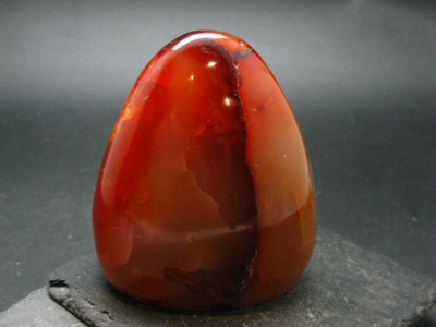 Carnelian Tumbled Stone From Madagascar - 3.1" - 360.68 Grams