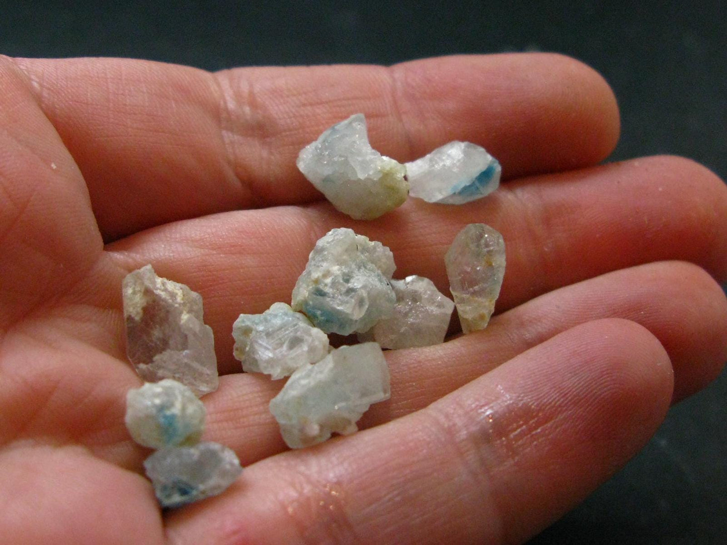 Lot of 10 Euclase Gem Crystal From Brazil - 27.20 Carats