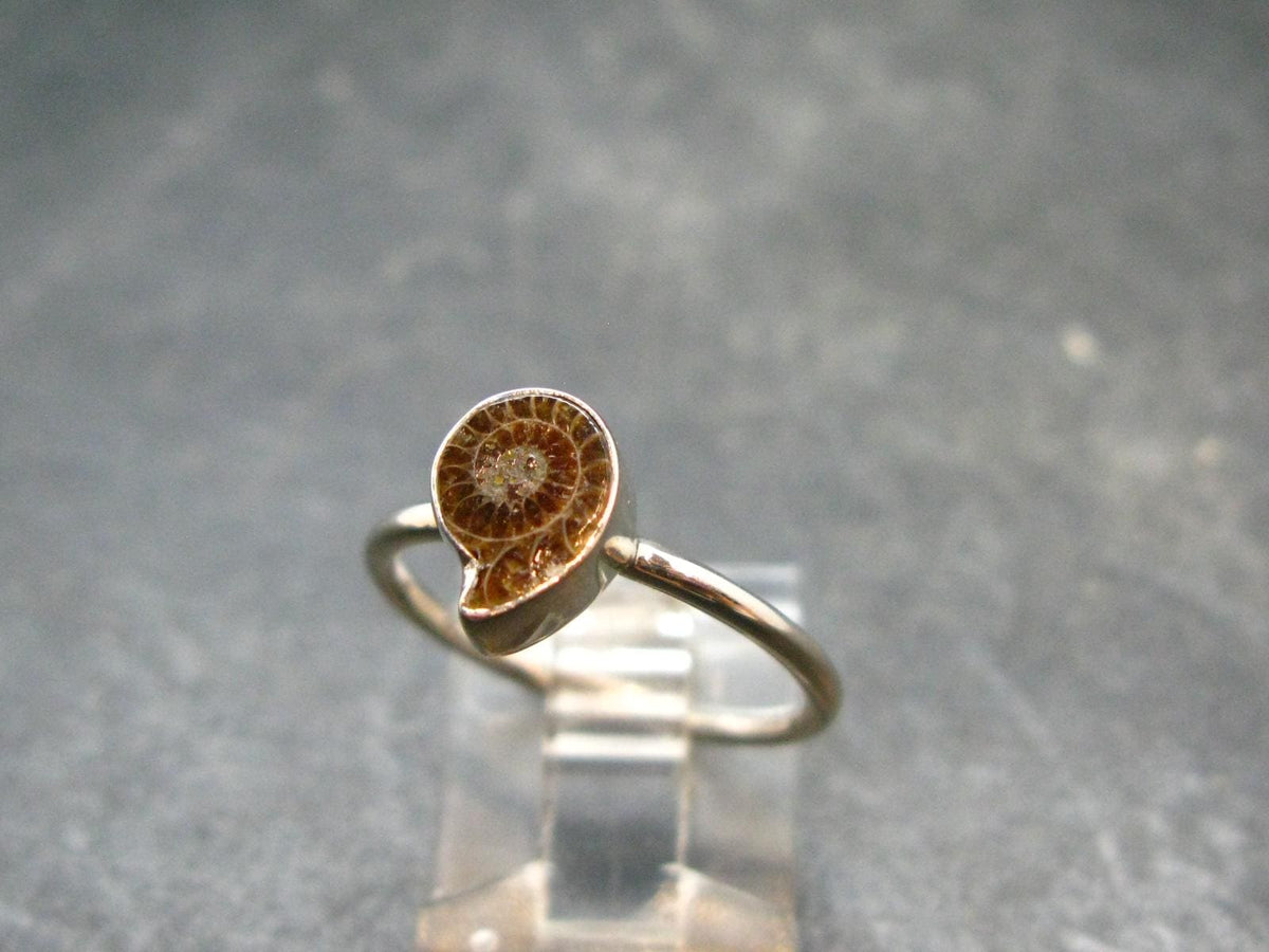 Natural Whole Polished Agatized Ammonite Cleoniceras Sterling Silver Ring from Madagascar - 1.79 Grams - Size 7