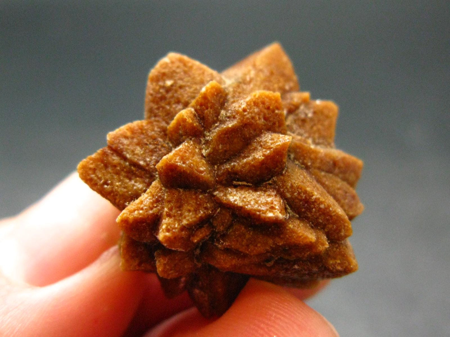 Glendonite (Ikaite after Calcite) Crystal From Russia - 1.0" - 7.61 Grams