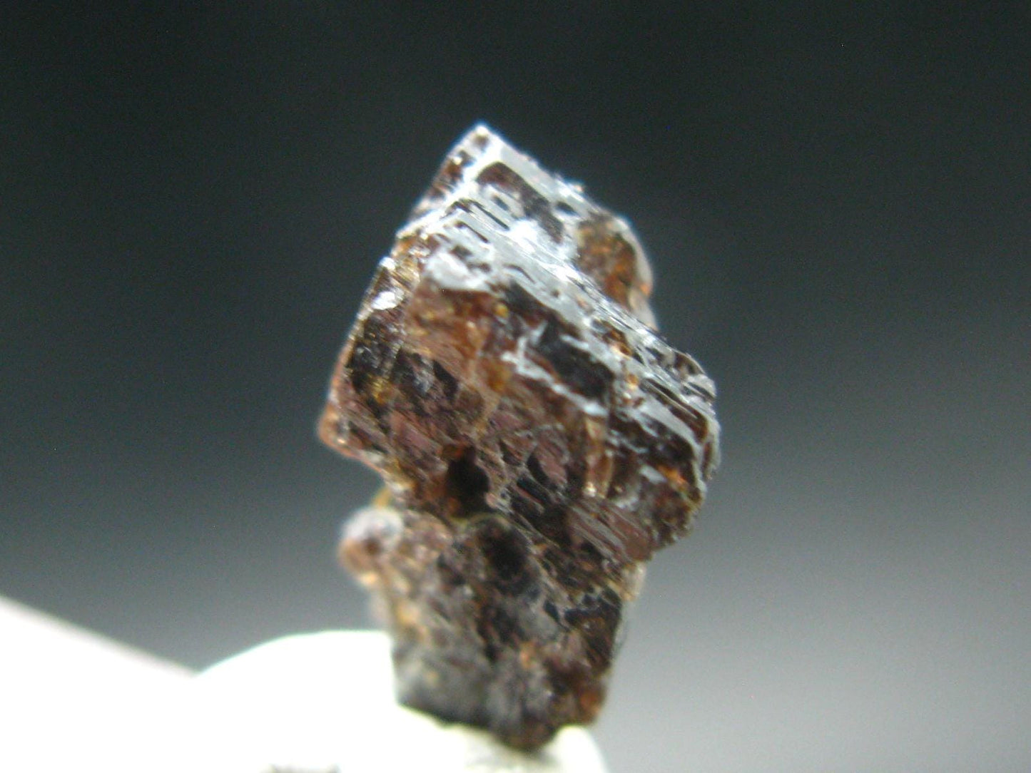 Rare Painite Crystal From Myanmar - 2.39 Carats