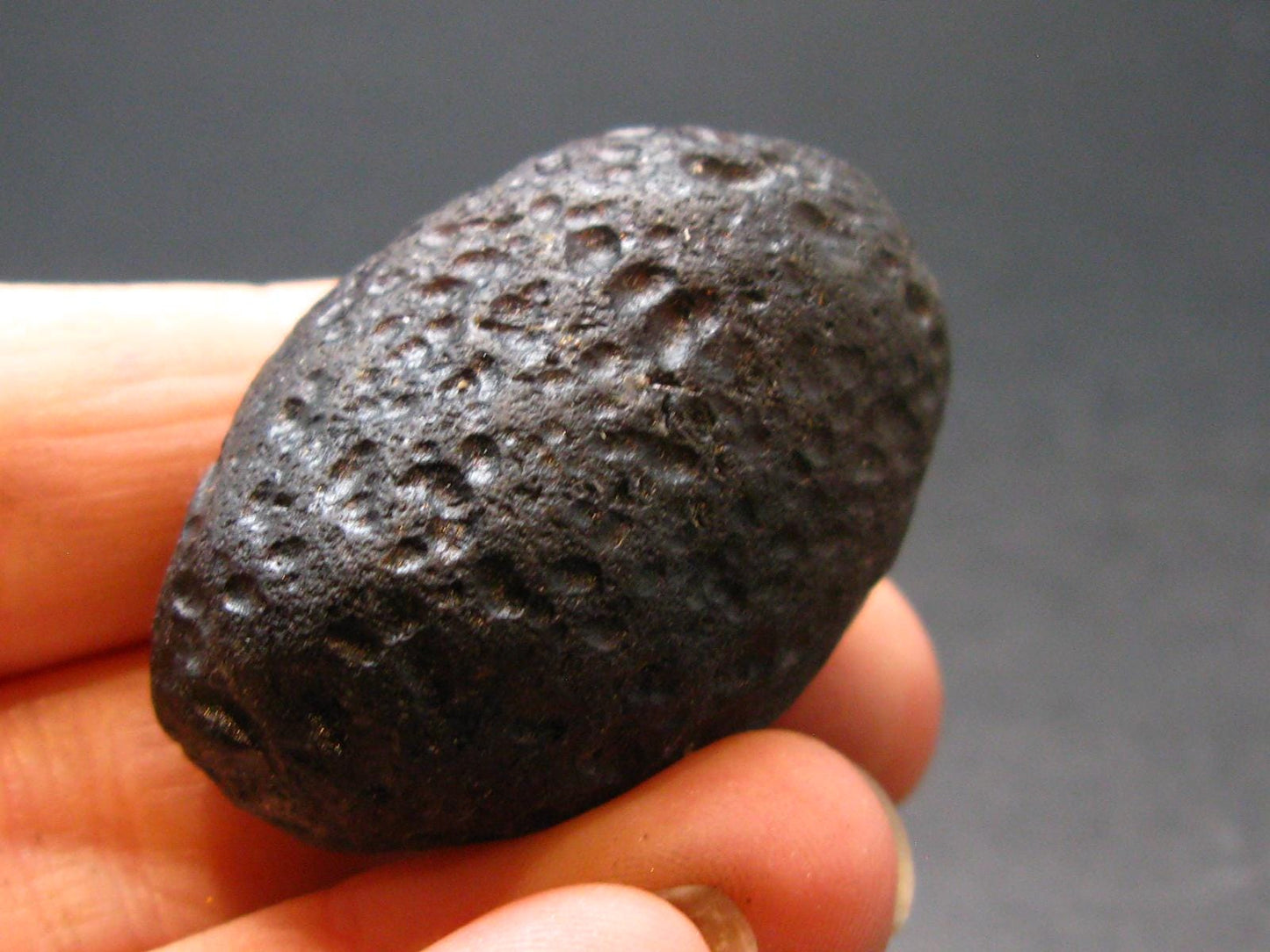 Colombianite Pseudotektite from Colombia - 26.80 Grams - 1.5"
