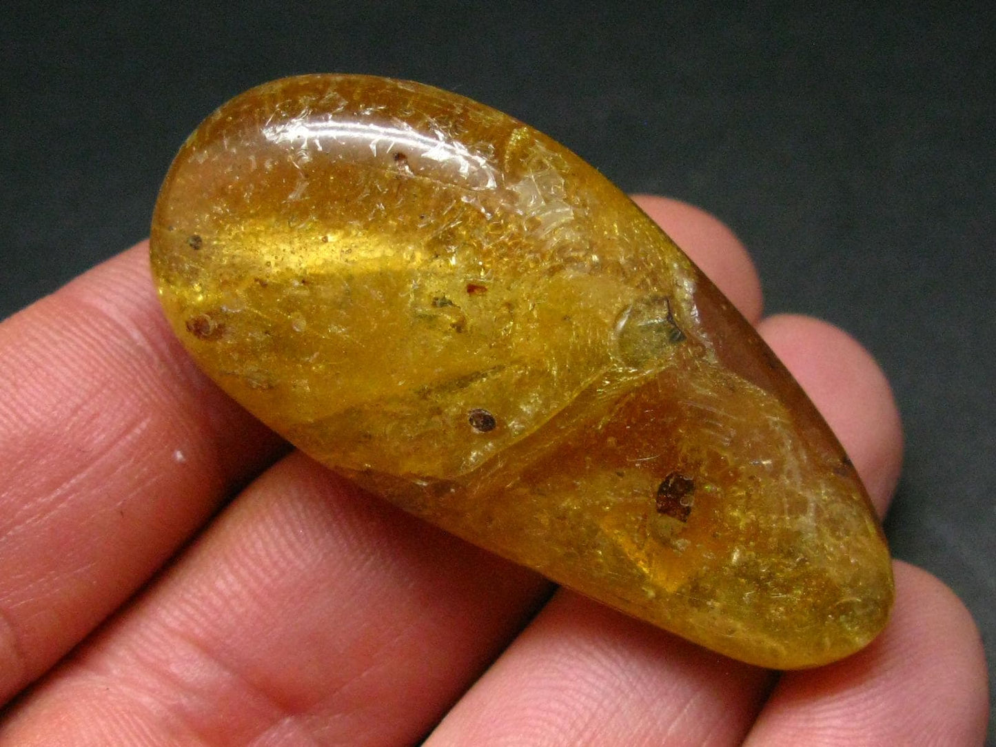 Insects in Amber Piece From Colombia - 12.82 Grams - 2.1"