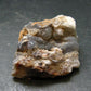 Fire Agate Crystal From Mexico - 1.4" - 32.51 Grams