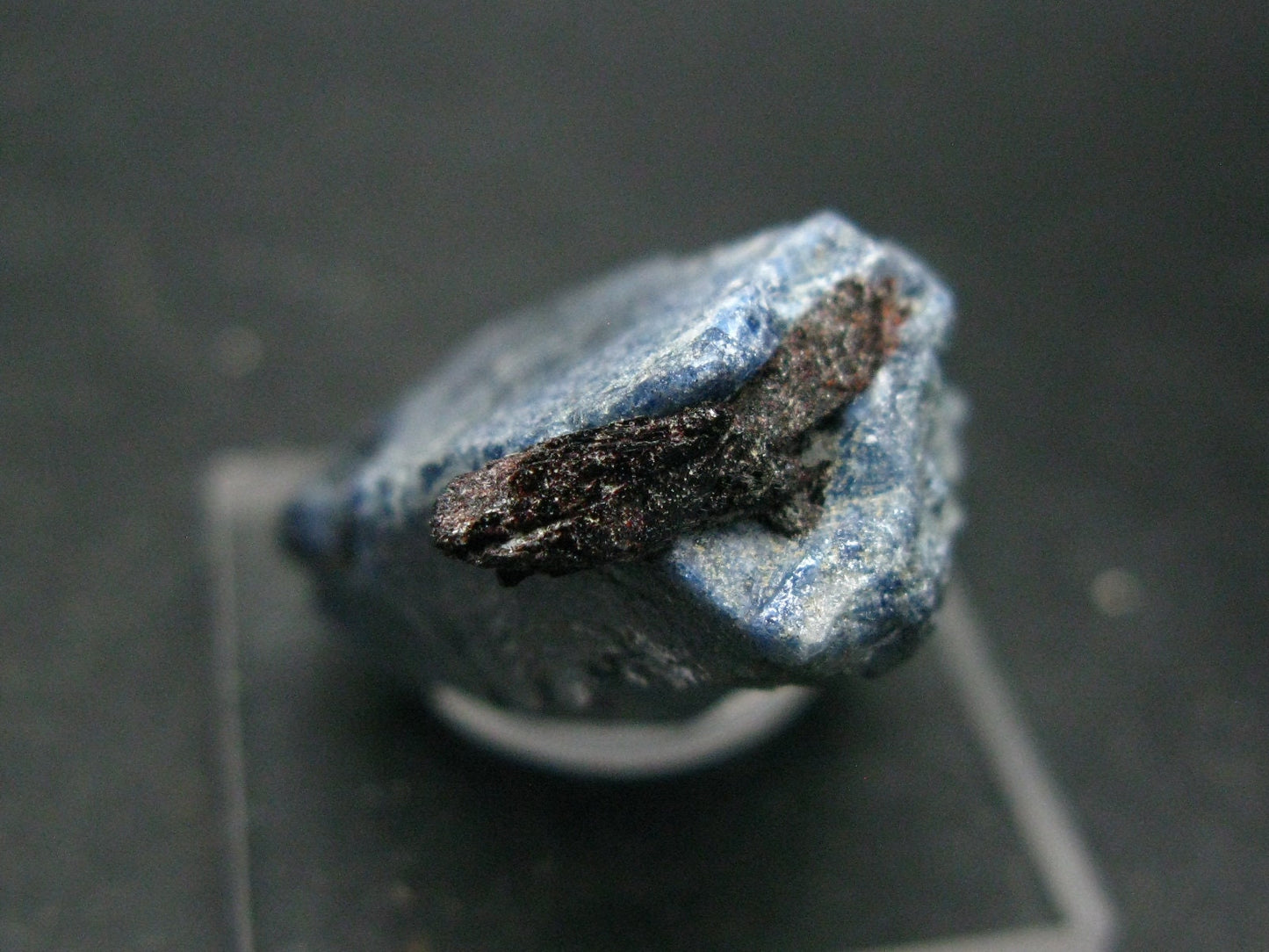 Large Benitoite Crystal From California with Neptunite - 105 Carats - 1.4"