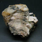 Phenakite Phenacite Crystal From Brazil - 3.7" - 334 Grams