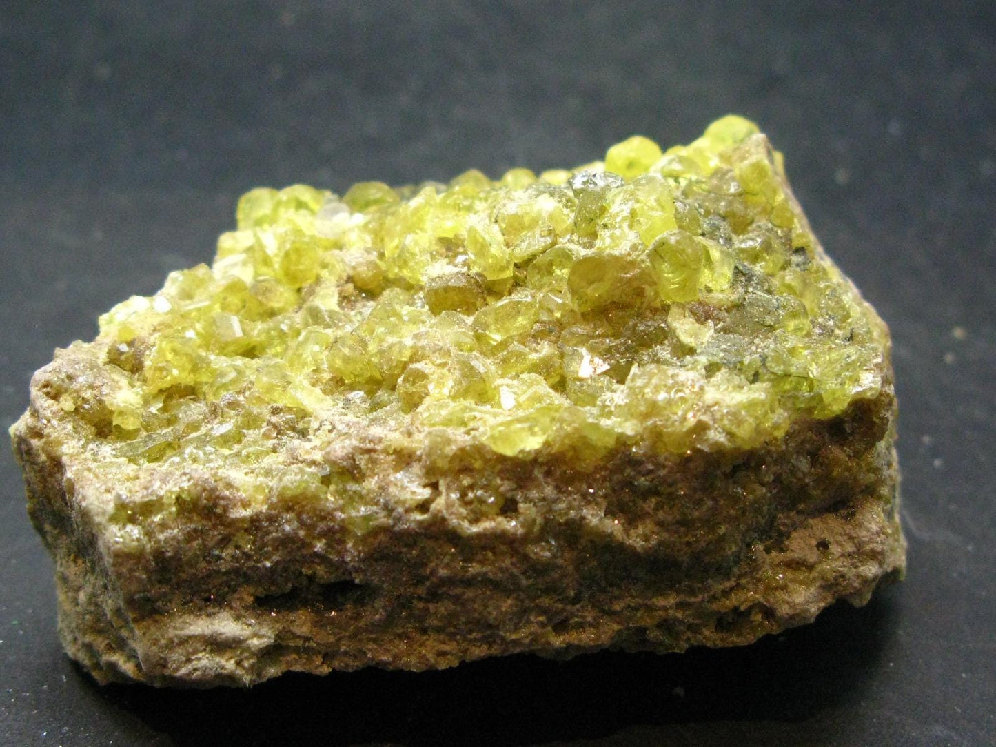 Sulfur Sulphur Cluster From Bolivia - 2.5"