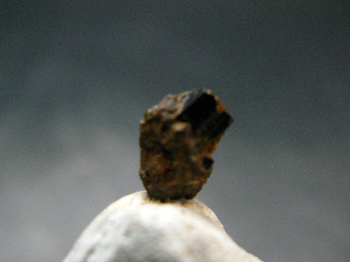 Rare Painite Crystal From Myanmar - 1.50 Carats