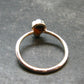 Natural Whole Polished Agatized Ammonite Cleoniceras Sterling Silver Ring from Madagascar - 1.97 Grams - Size 9