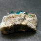 Very Nice Dioptase Cluster from Congo - 1.0" - 5.22 Grams