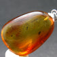 Natural Insects in Baltic Amber 925 Silver Pendant from Poland - 1.5" - 5.07 Grams