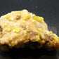 Large Yellow Sulphur Sulfur Cluster Italy - 3.7"