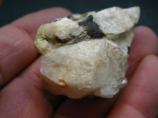 Rare Phenakite Phenacite Cluster from Madagascar - 190 Carats - 1.8"