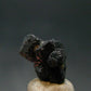 Large Brookite Crystal From Arkansas - 1.25 Grams - 11 mm