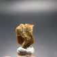 Rare Monazite Crystal From Brazil - 0.4" - 0.73 Grams
