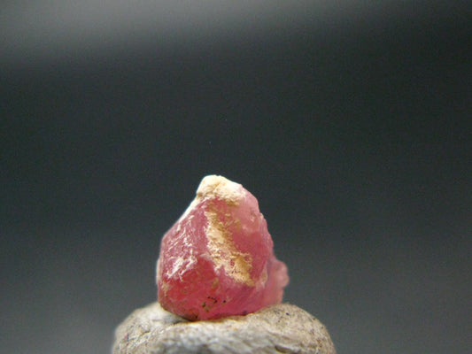 Rare Pezzottaite Crystal from Madagascar - 1.75 Carats - 0.25"