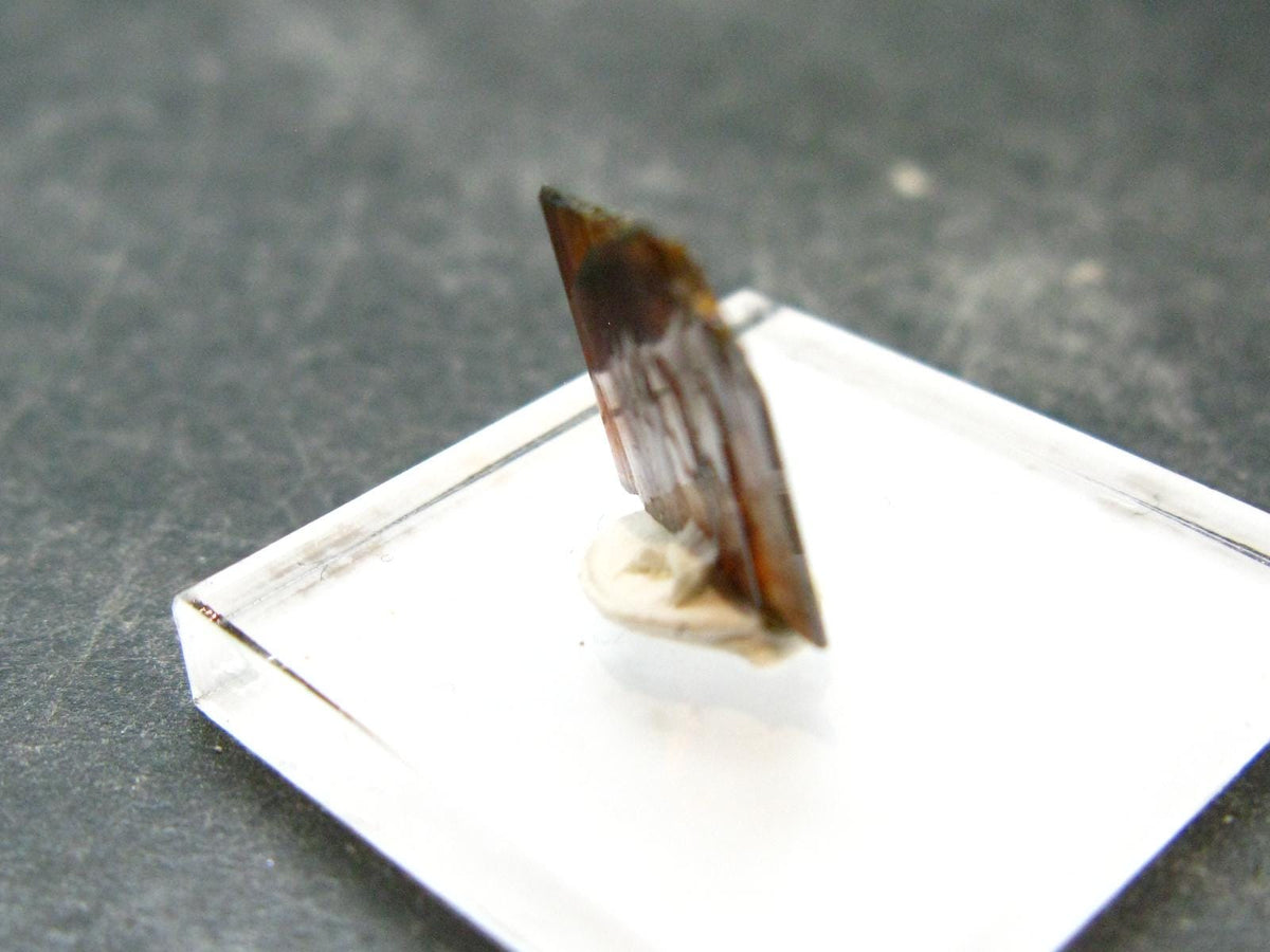 Large Brookite Crystal From Pakistan - 0.43 Grams - 11 mm