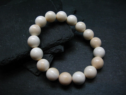 Conch Shell Genuine Bracelet ~ 7 Inches ~ 12mm Round Beads