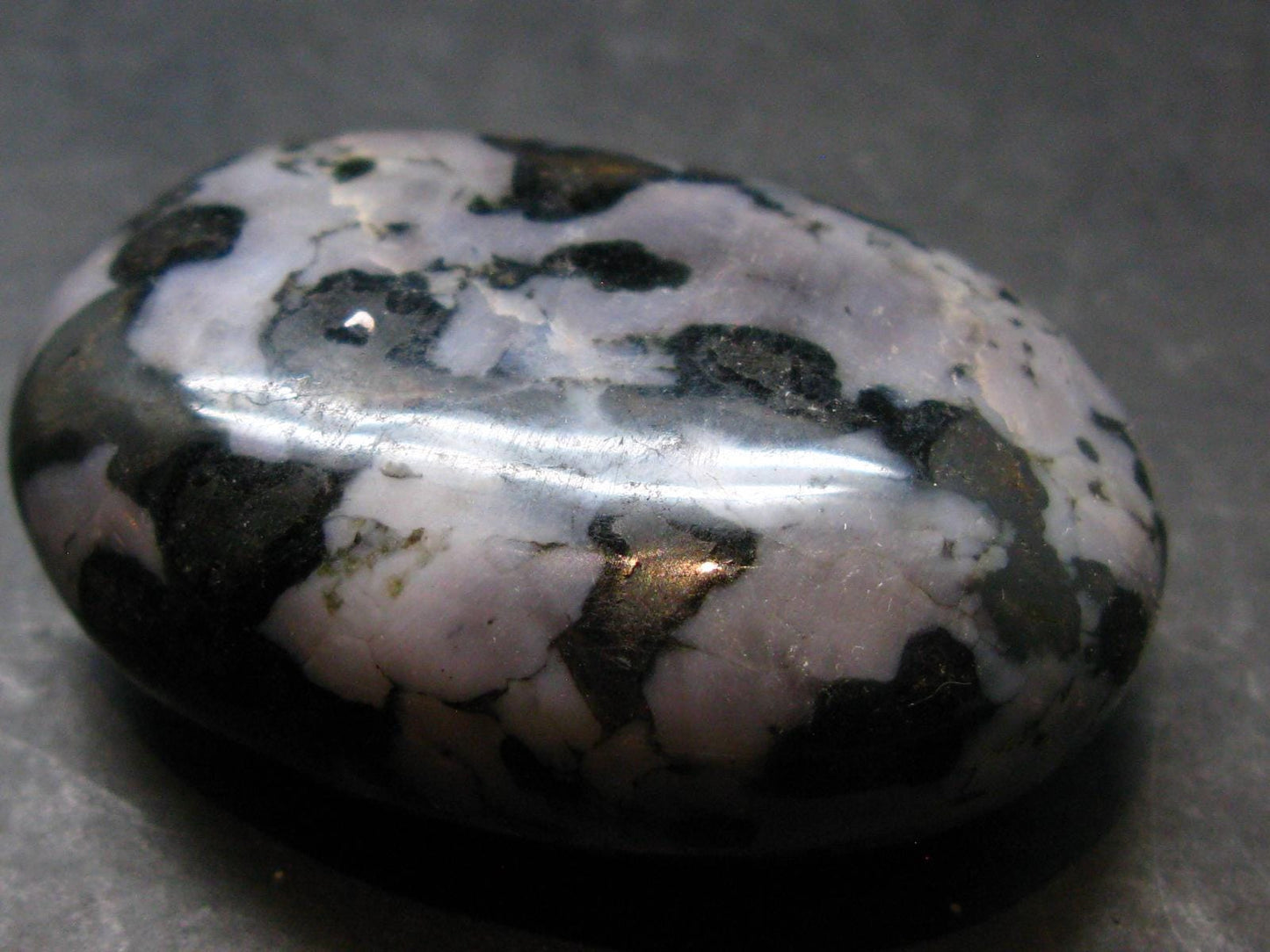Gabbro Mystic Merlinite Tumbled Piece From Indian Ocean - 2.0"