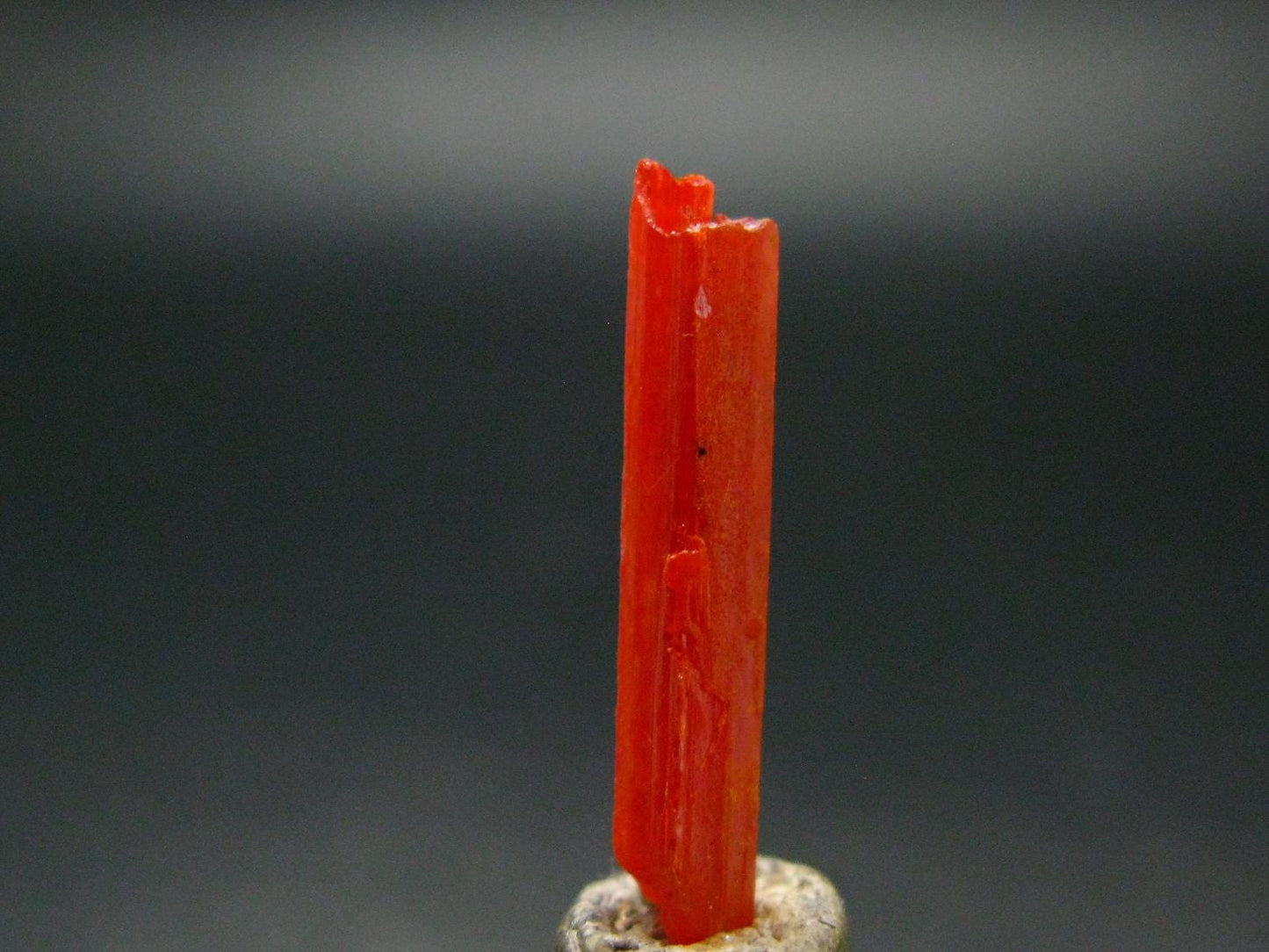 Large Orange Crocoite Crystal From Australia - 0.9" - 6.80 Carats
