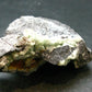 Rare Wavellite Cluster From Arkansas, USA - 2.7"