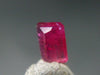 Beautiful Rare Gem Bixbite Red Beryl Emerald Cut Stone From Utah USA - 0.45 Carats - 5.8x4.1mm