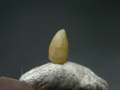 0.16 Carat Rare Gem Musgravite Cut Stone From Mogok